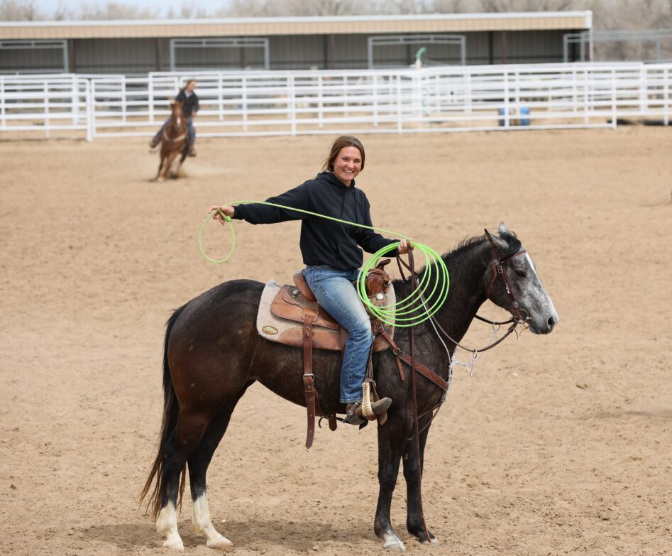 Horse Programs Tack List Lamar CC
