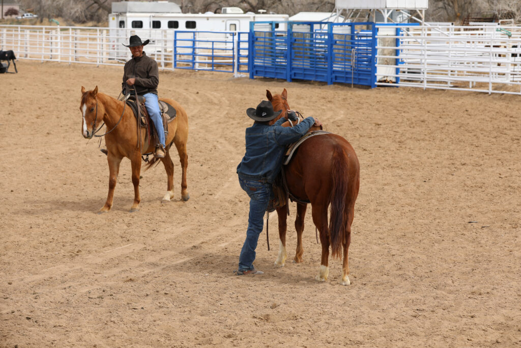 Equine Programs Lamar CC